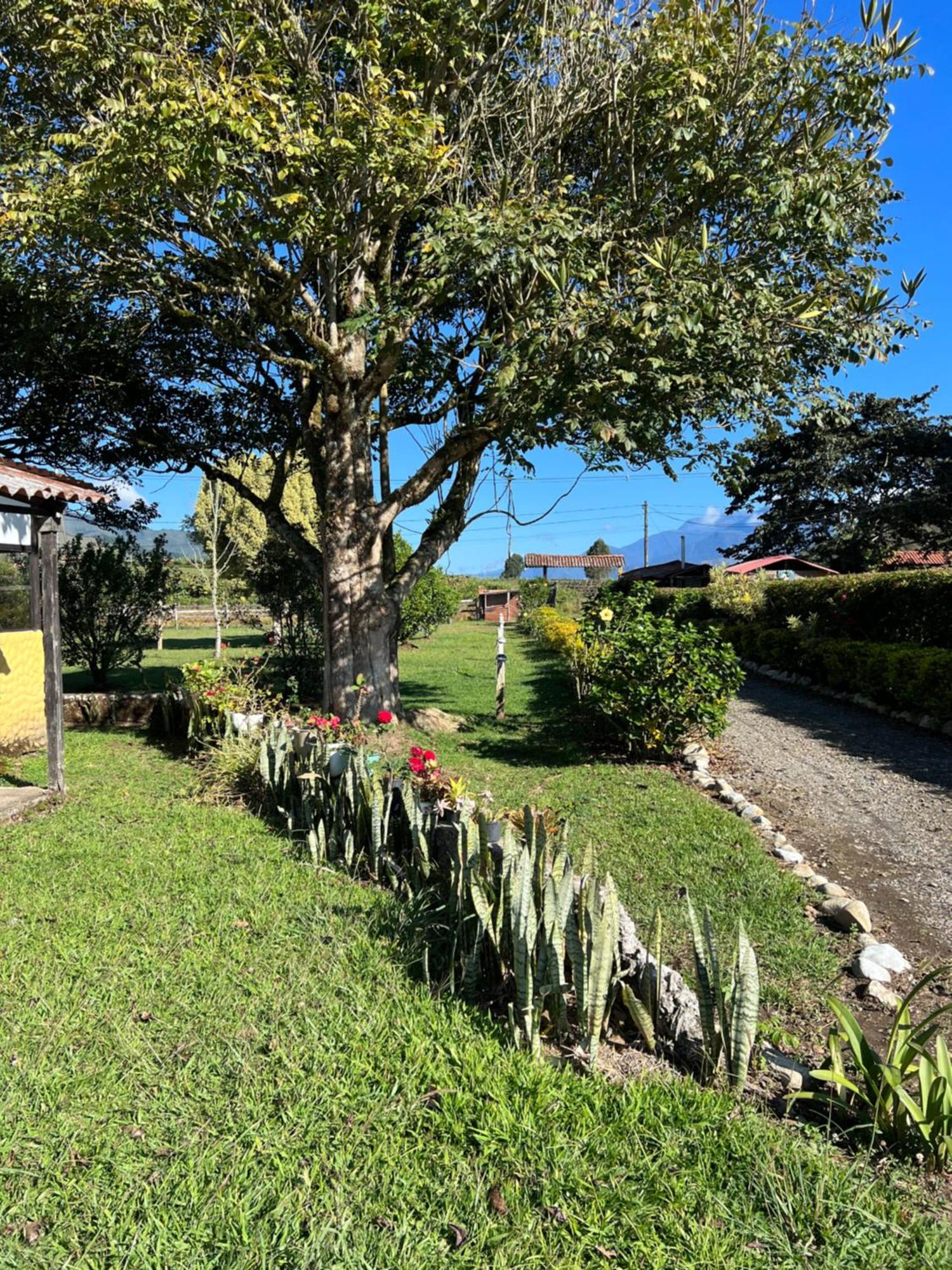 Finca Hotel Paraiso Urrao Zewnętrze zdjęcie